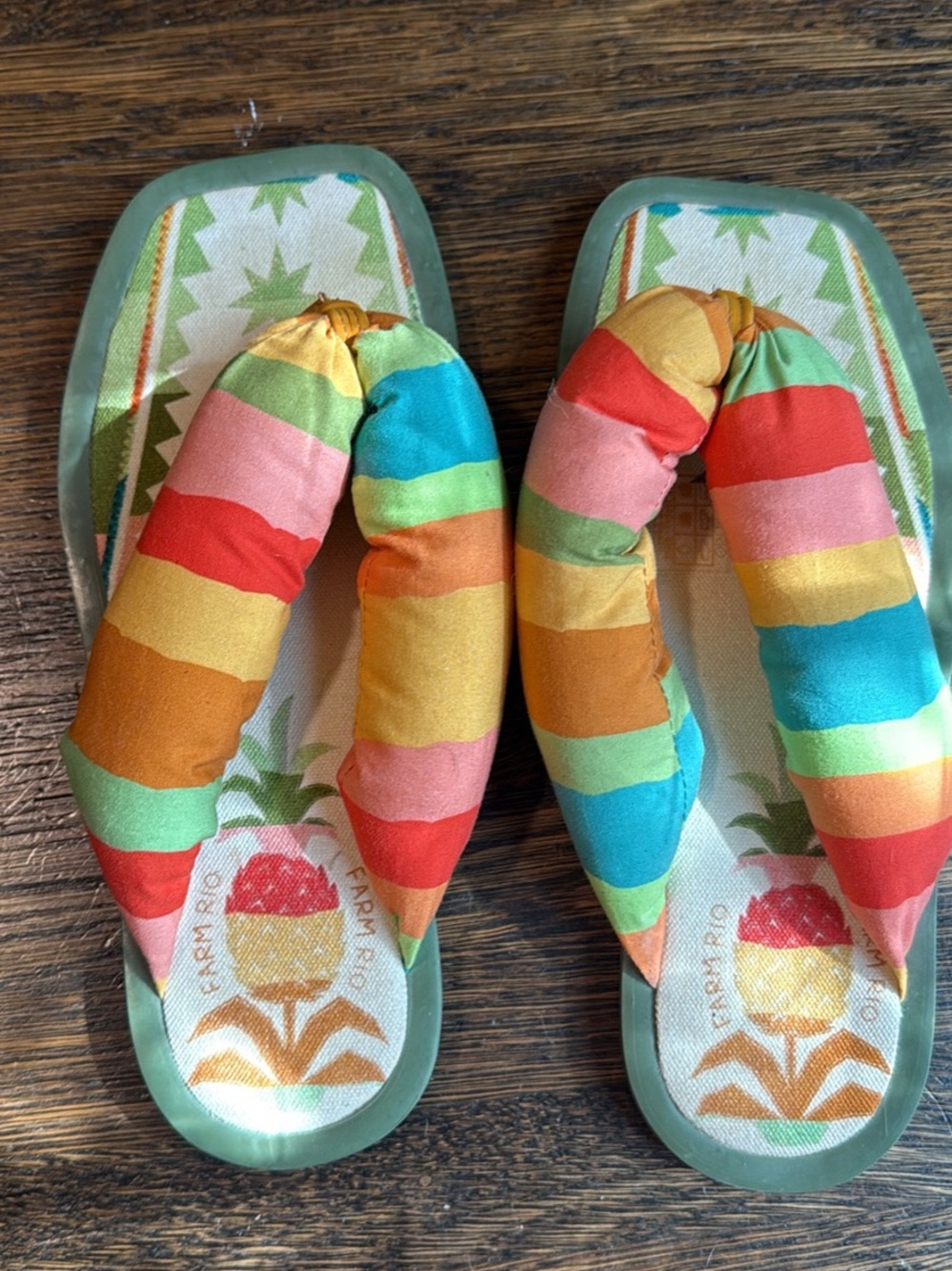 FARM Rio Multicolor Striped Padded Flip-Flops